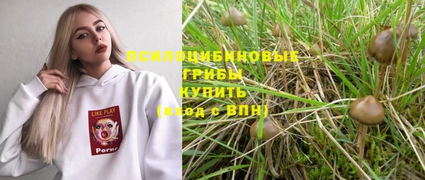 ALPHA-PVP Алексеевка