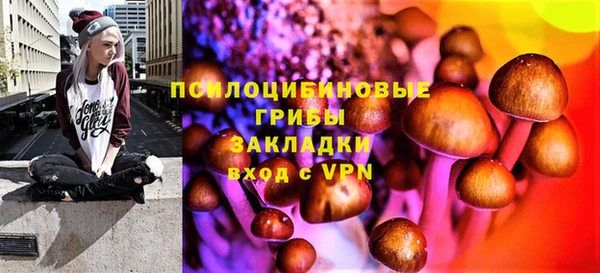ALPHA-PVP Алексеевка