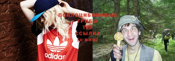 ALPHA-PVP Алексеевка
