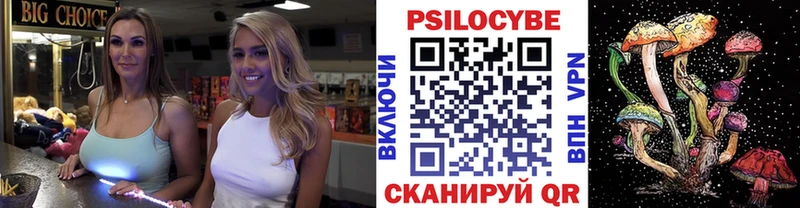 где можно купить наркотик Чайковский Псилоцибиновые грибы мицелий